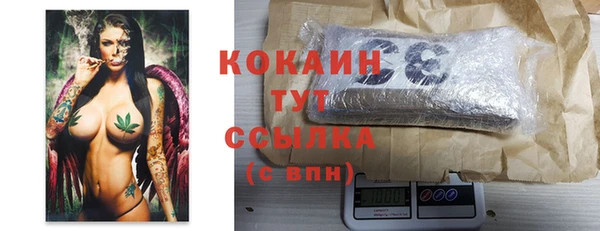 прущие грибы Арсеньев