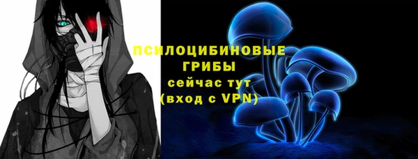 прущие грибы Арсеньев