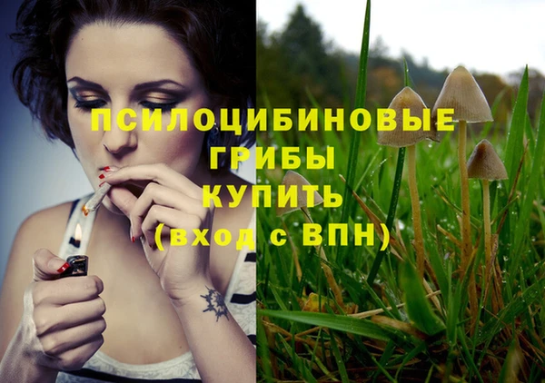 прущие грибы Арсеньев