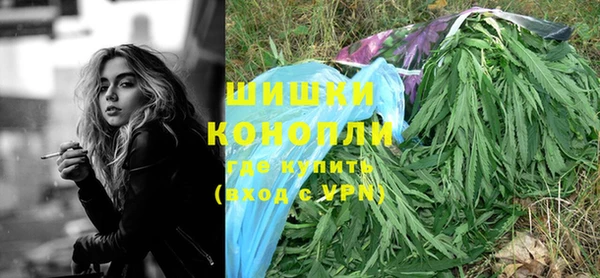 прущие грибы Арсеньев