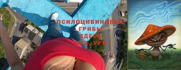 СК Аркадак
