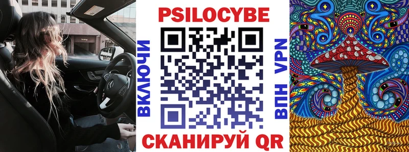 KRAKEN ссылки  купить наркотики сайты  Богучар  Псилоцибиновые грибы Cubensis 